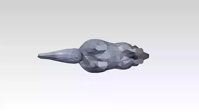 Raccoon Low Poligonal