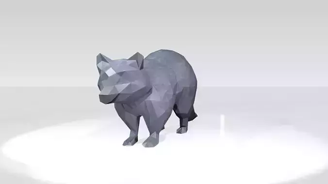 Raccoon Low Poligonal