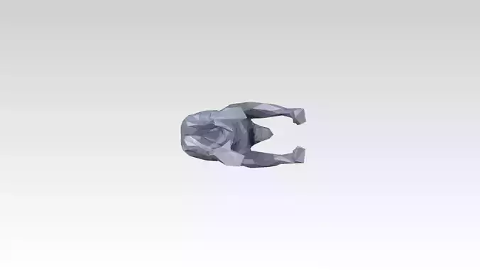 Orangutan Low Poligonal