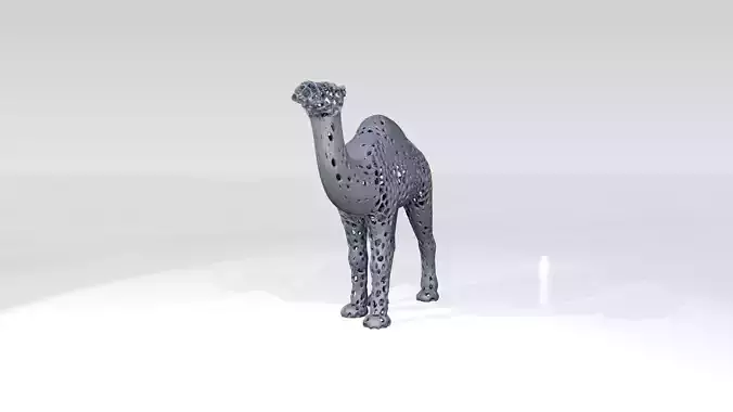 Dromedary Voronoi