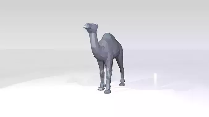 Dromedary Low Poligonal