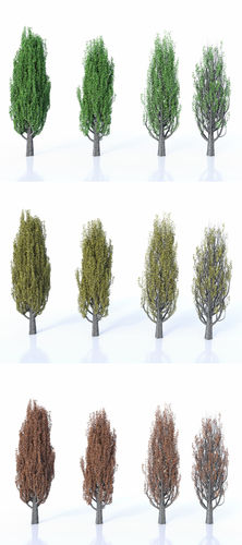 Poplar Set Seasons 3D model