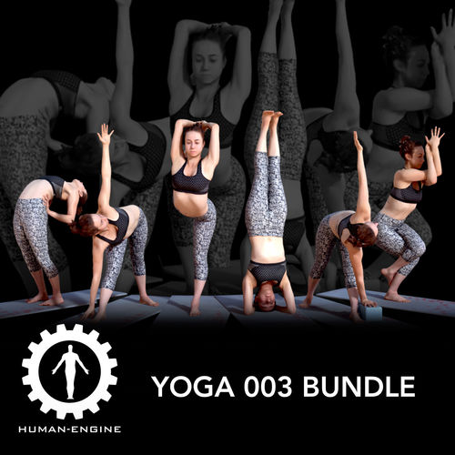 Various Yoga Female Poses with Mat 003 Bundle 3D model