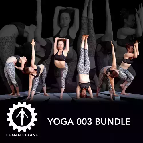 Various Yoga Female Poses with Mat 003 Bundle 3D model