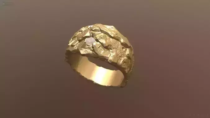 Golden Ring 3D print model