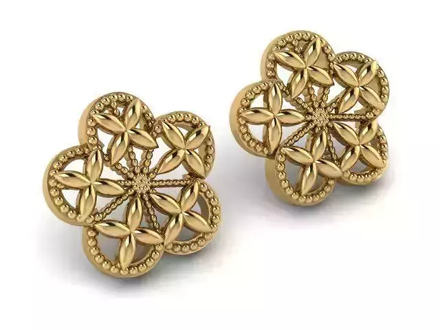 Earrings T01387