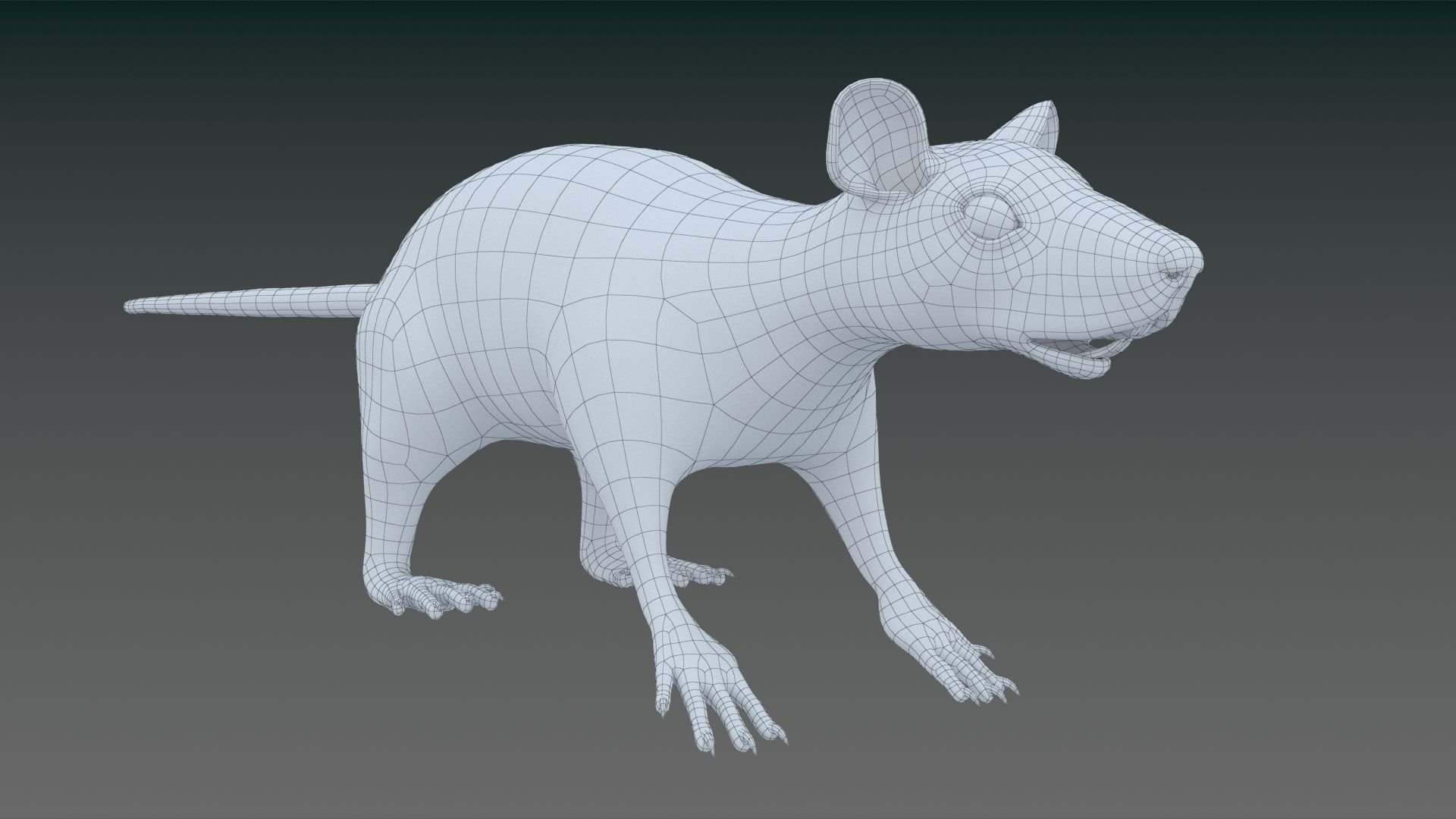 White or Brown Rat 3D model_2
