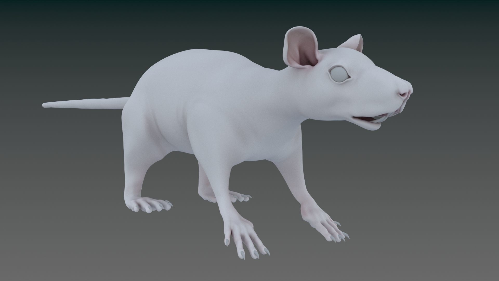 White or Brown Rat 3D model_1