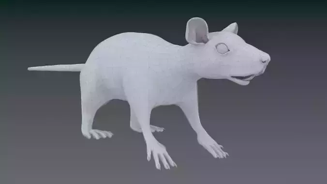 White or Brown Rat
