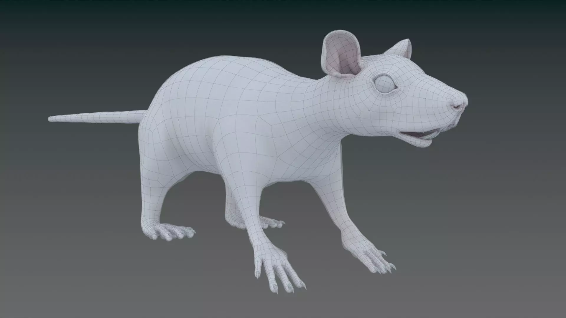 White or Brown Rat 3D model_0