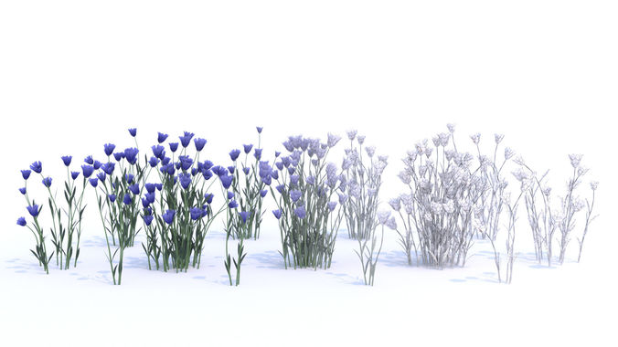 Wild Linen 3D model