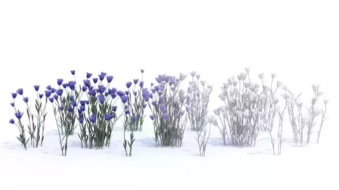 Wild Linen 3D model