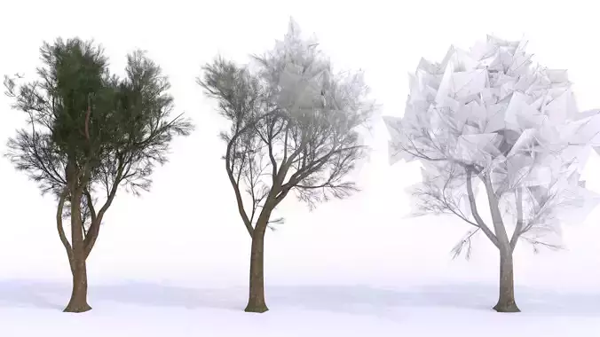 Maritime Pine Tree LOW POLY - 10 variations Low-poly 3D model