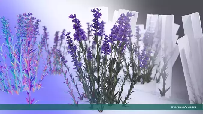 Lavender LOW POLY very detailed texture Low-poly 3D model