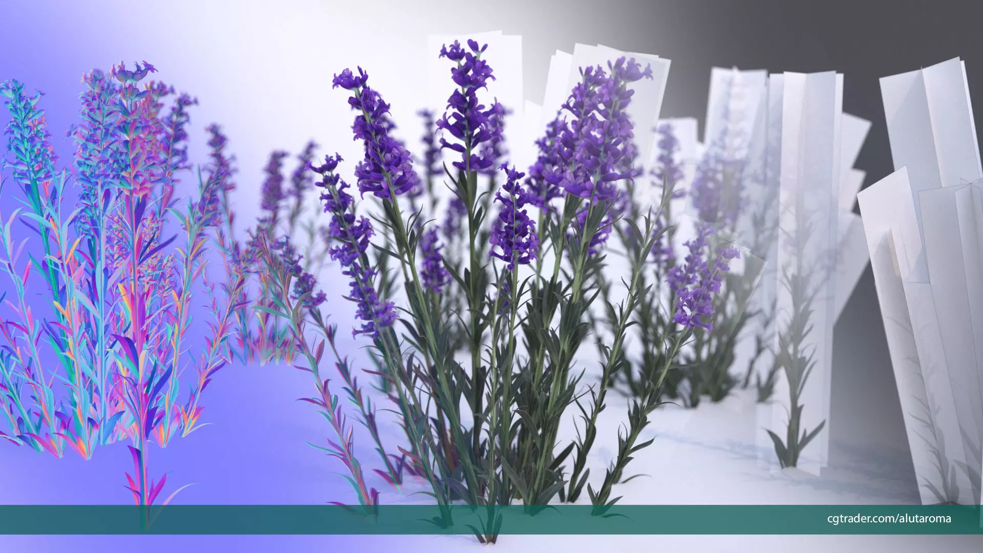 Lavender LOW POLY very detailed texture Low-poly 3D model_0
