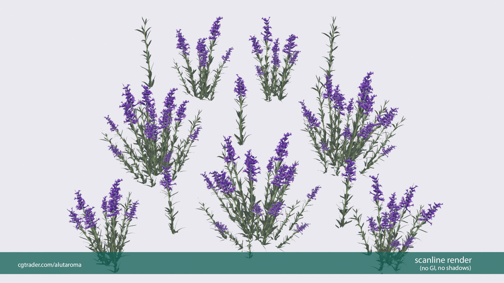 Lavender LOW POLY very detailed texture Low-poly 3D model_12