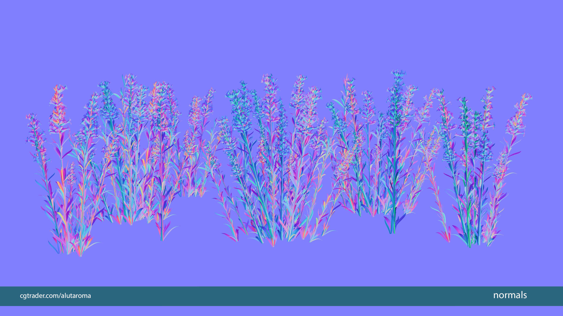 Lavender LOW POLY very detailed texture Low-poly 3D model_9