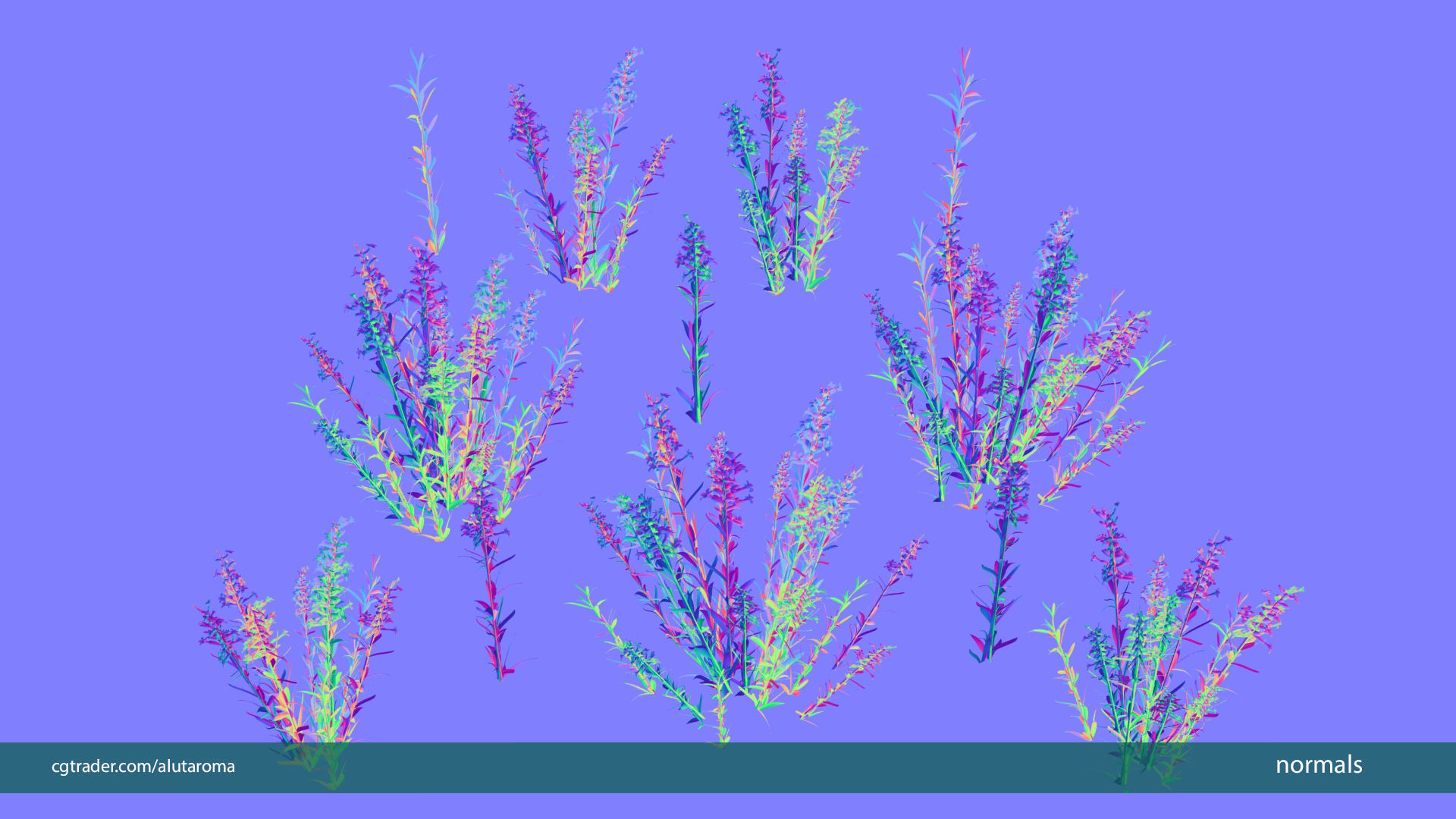 Lavender LOW POLY very detailed texture Low-poly 3D model_13