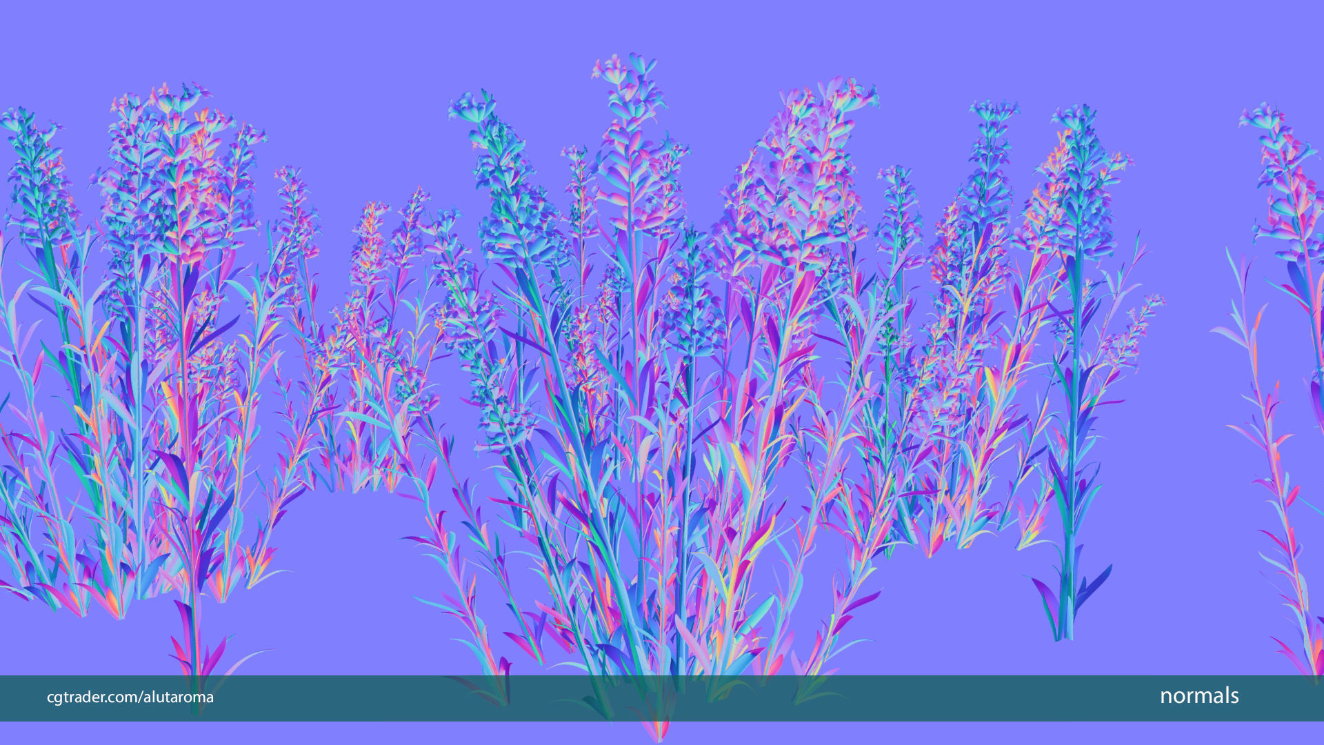 Lavender LOW POLY very detailed texture Low-poly 3D model_5