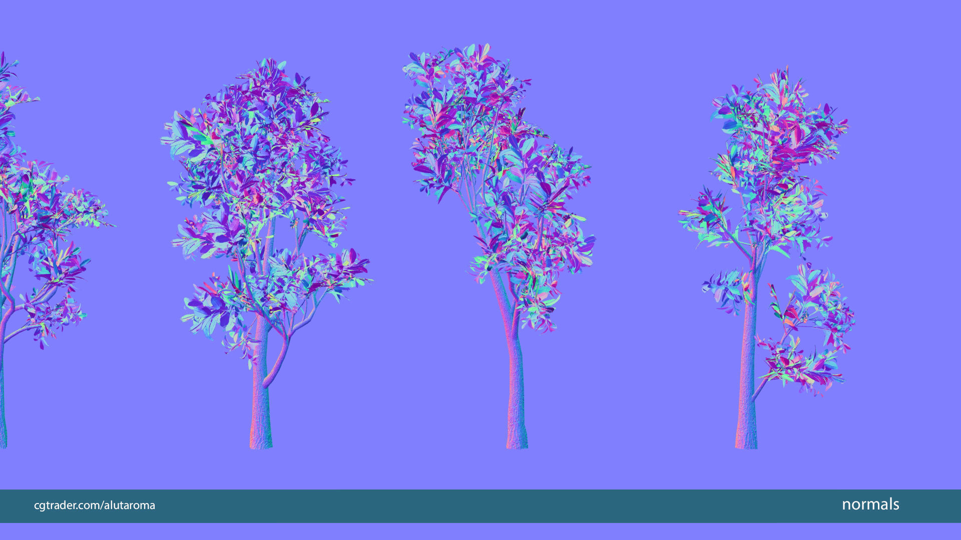 Arbutus tree LOW POLY very detailed texture Low-poly 3D model_8