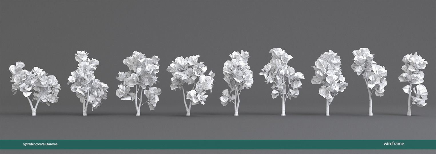 Arbutus tree LOW POLY very detailed texture Low-poly 3D model_44