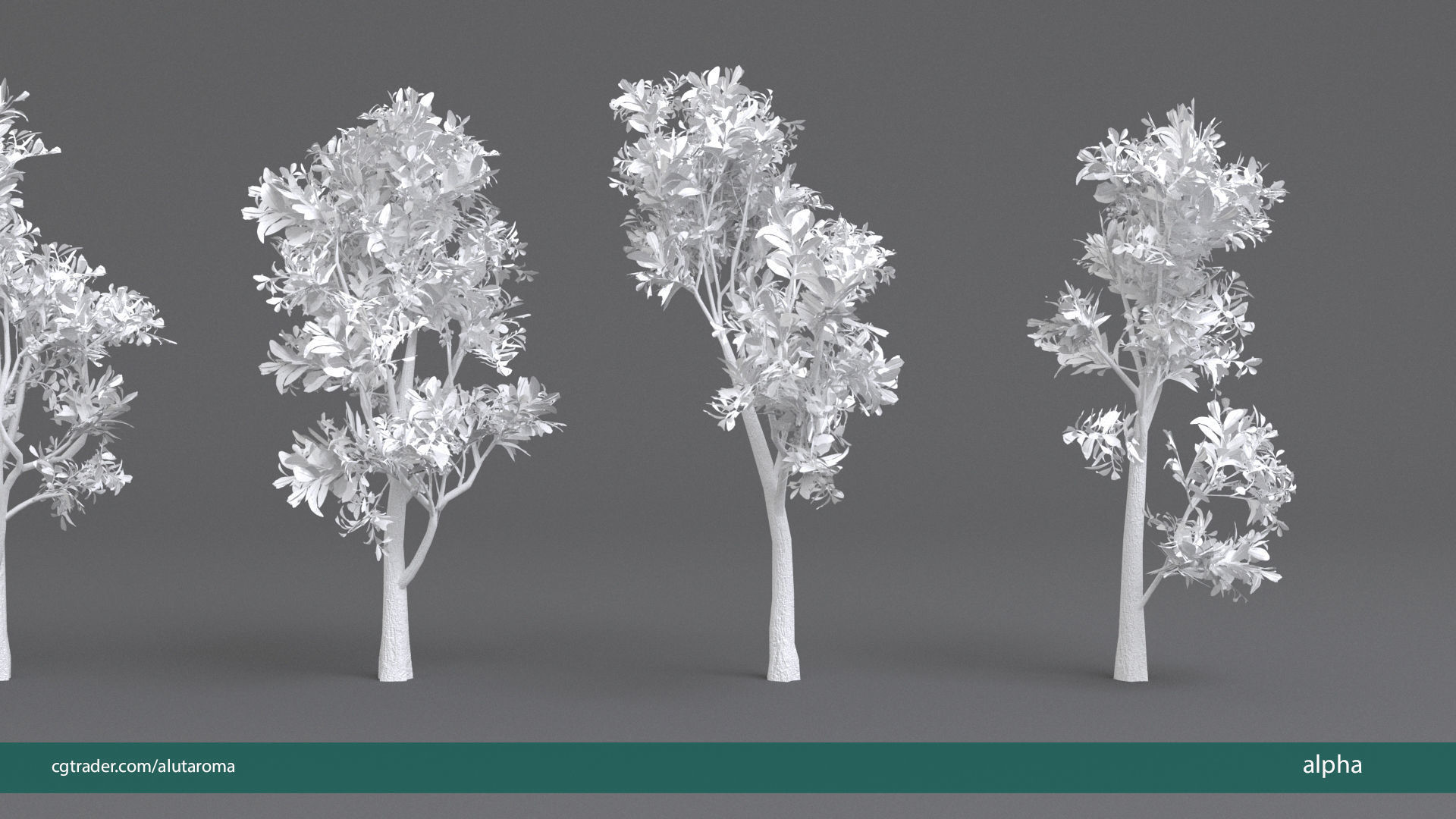 Arbutus tree LOW POLY very detailed texture Low-poly 3D model_42