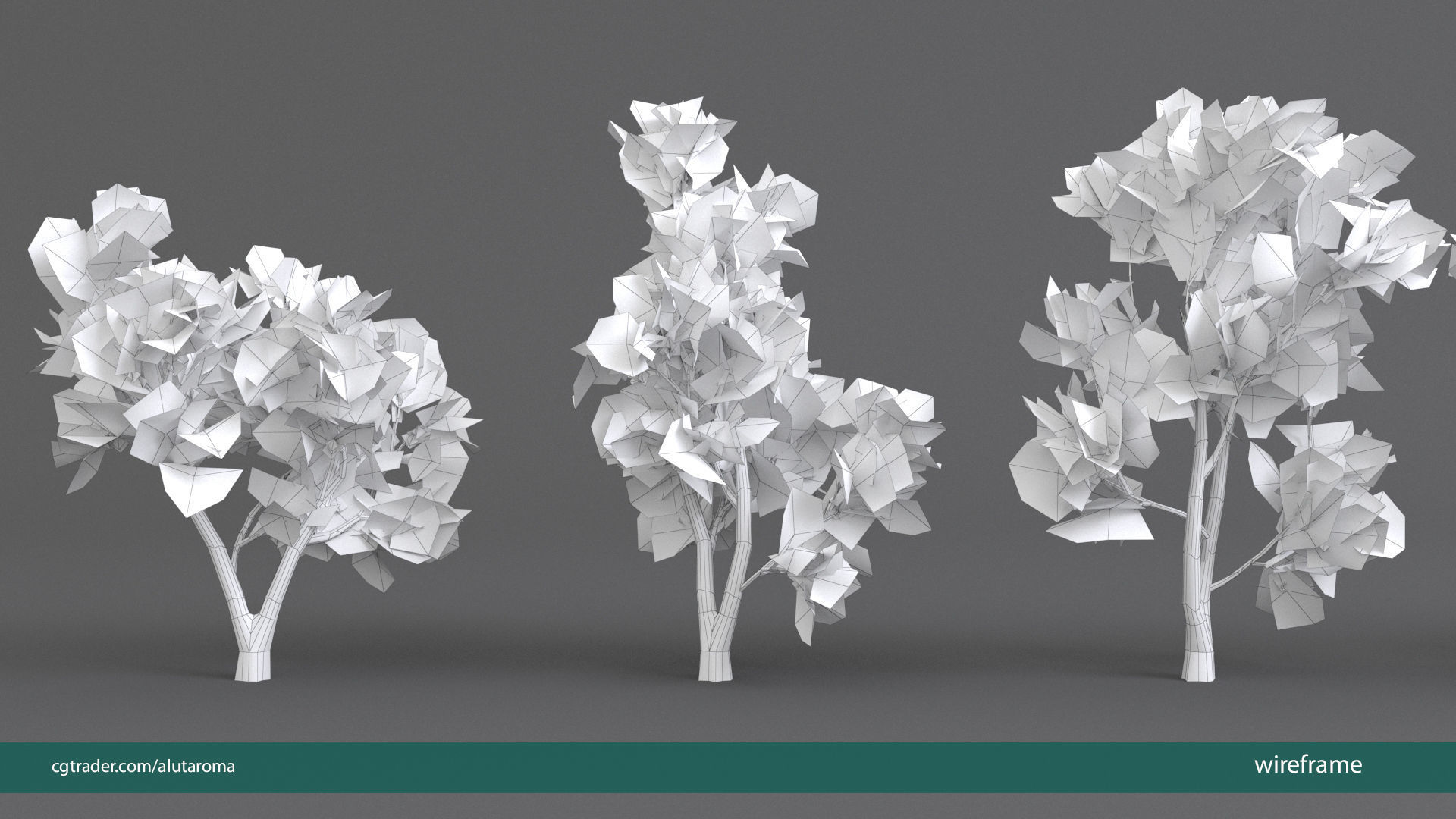Arbutus tree LOW POLY very detailed texture Low-poly 3D model_30