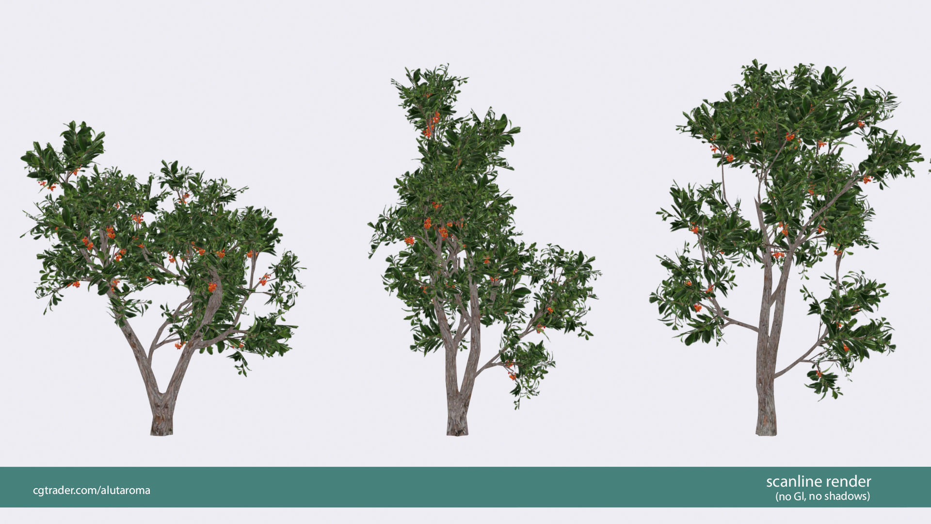 Arbutus tree LOW POLY very detailed texture Low-poly 3D model_29
