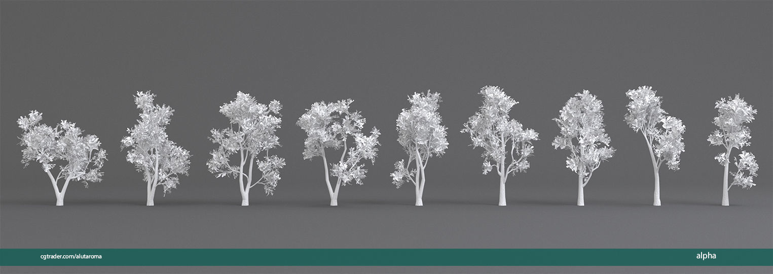 Arbutus tree LOW POLY very detailed texture Low-poly 3D model_46