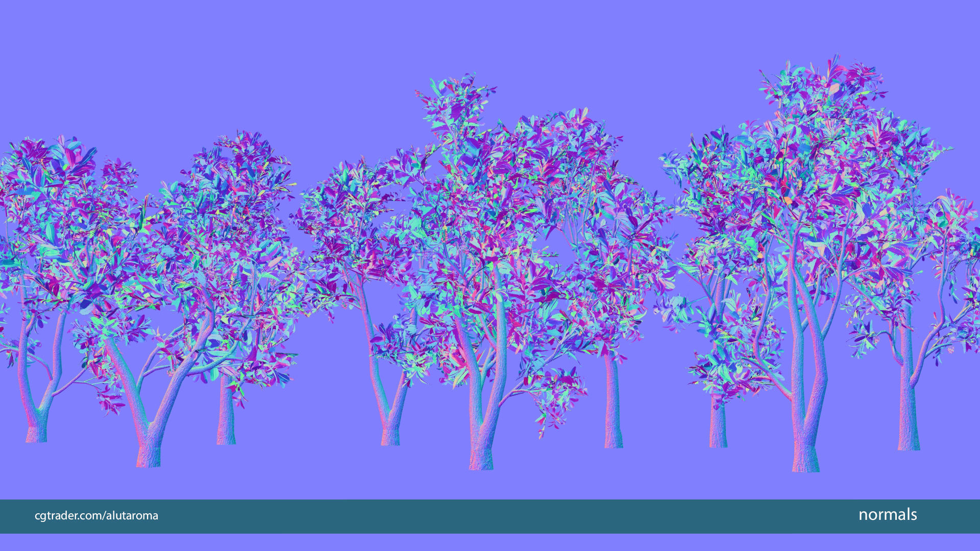 Arbutus tree LOW POLY very detailed texture Low-poly 3D model_6