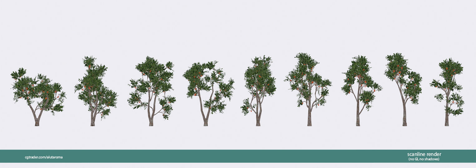 Arbutus tree LOW POLY very detailed texture Low-poly 3D model_21