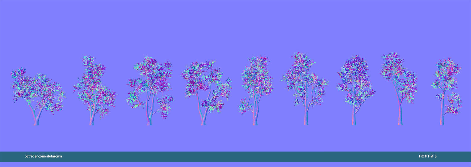 Arbutus tree LOW POLY very detailed texture Low-poly 3D model_45