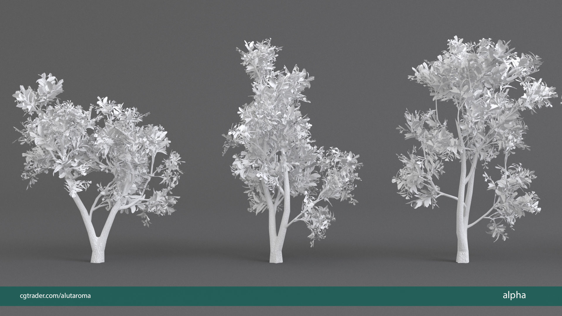 Arbutus tree LOW POLY very detailed texture Low-poly 3D model_32