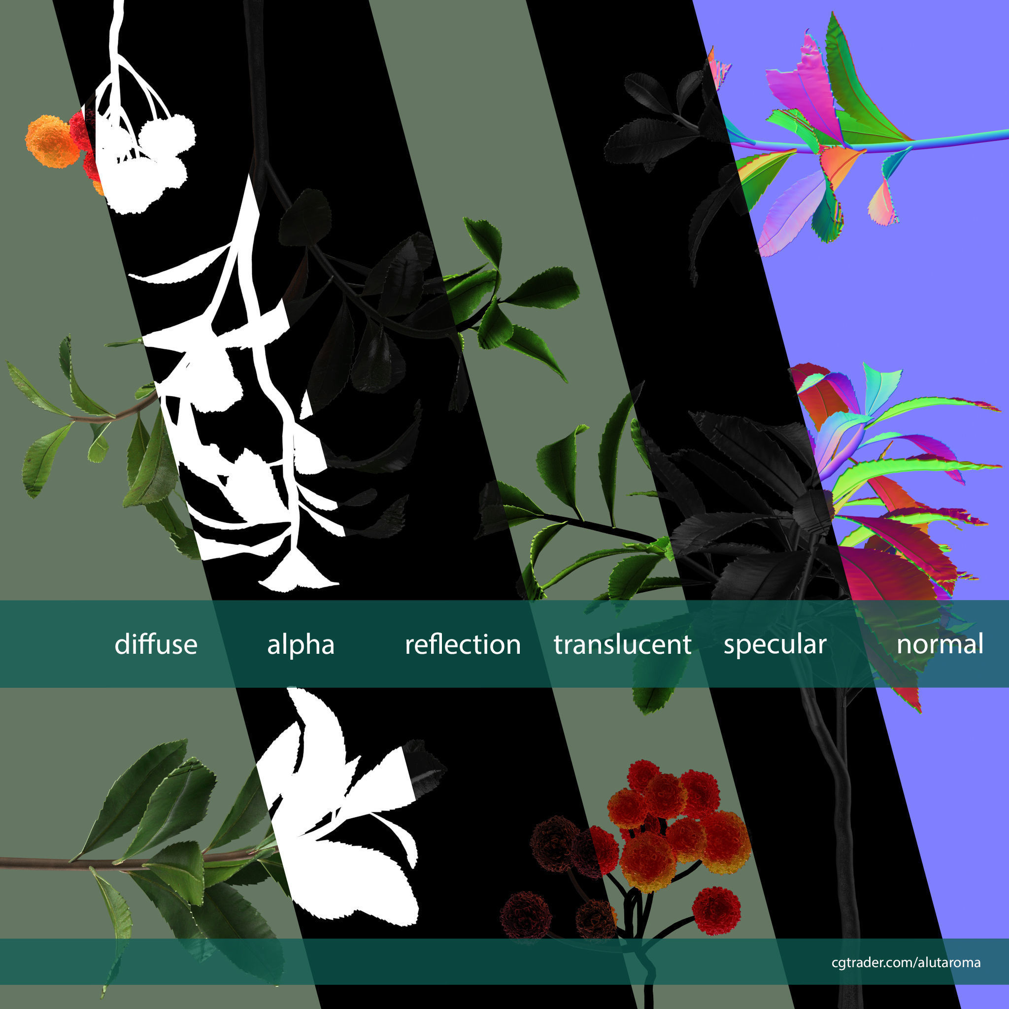 Arbutus tree LOW POLY very detailed texture Low-poly 3D model_20