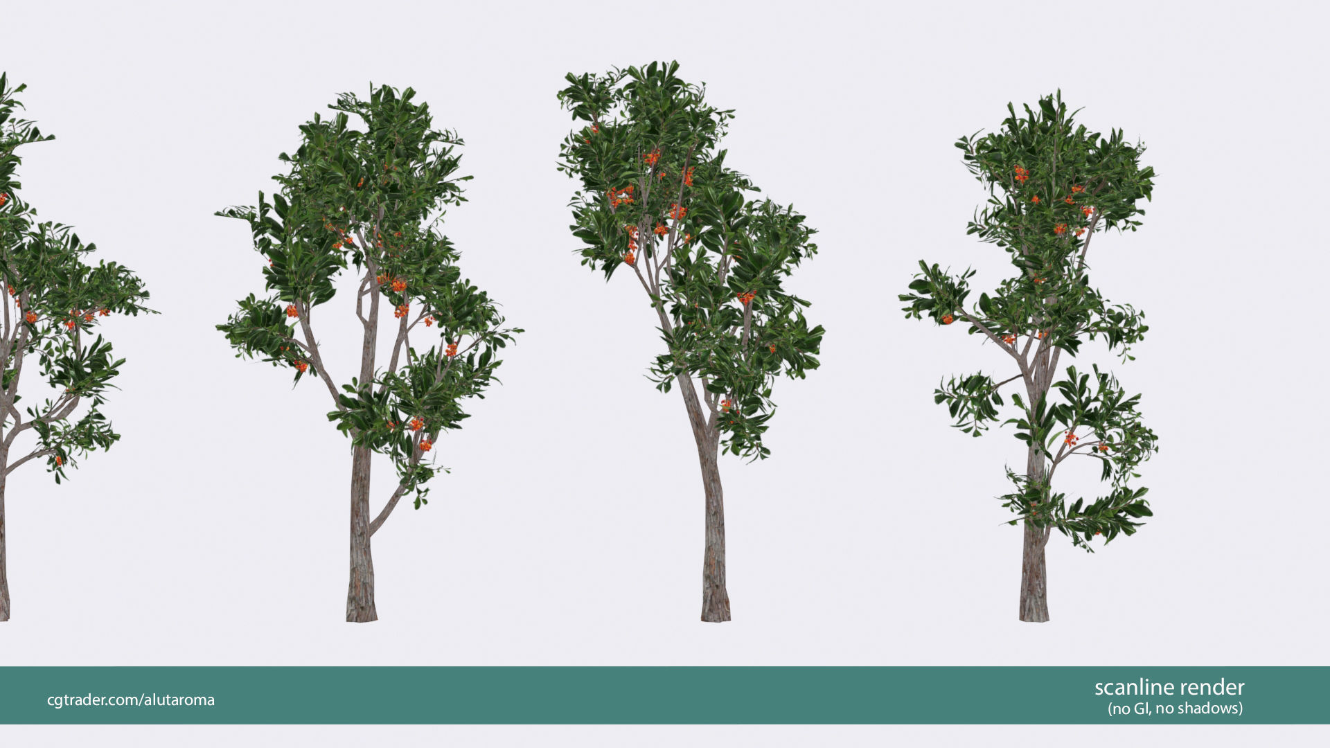 Arbutus tree LOW POLY very detailed texture Low-poly 3D model_23