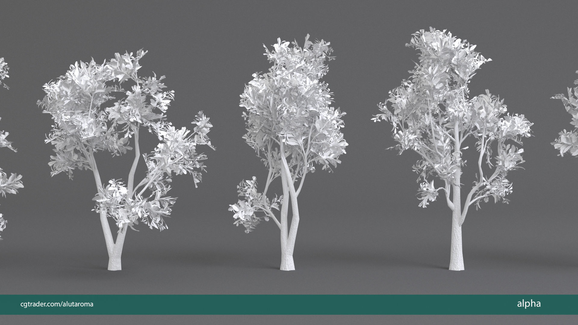 Arbutus tree LOW POLY very detailed texture Low-poly 3D model_37