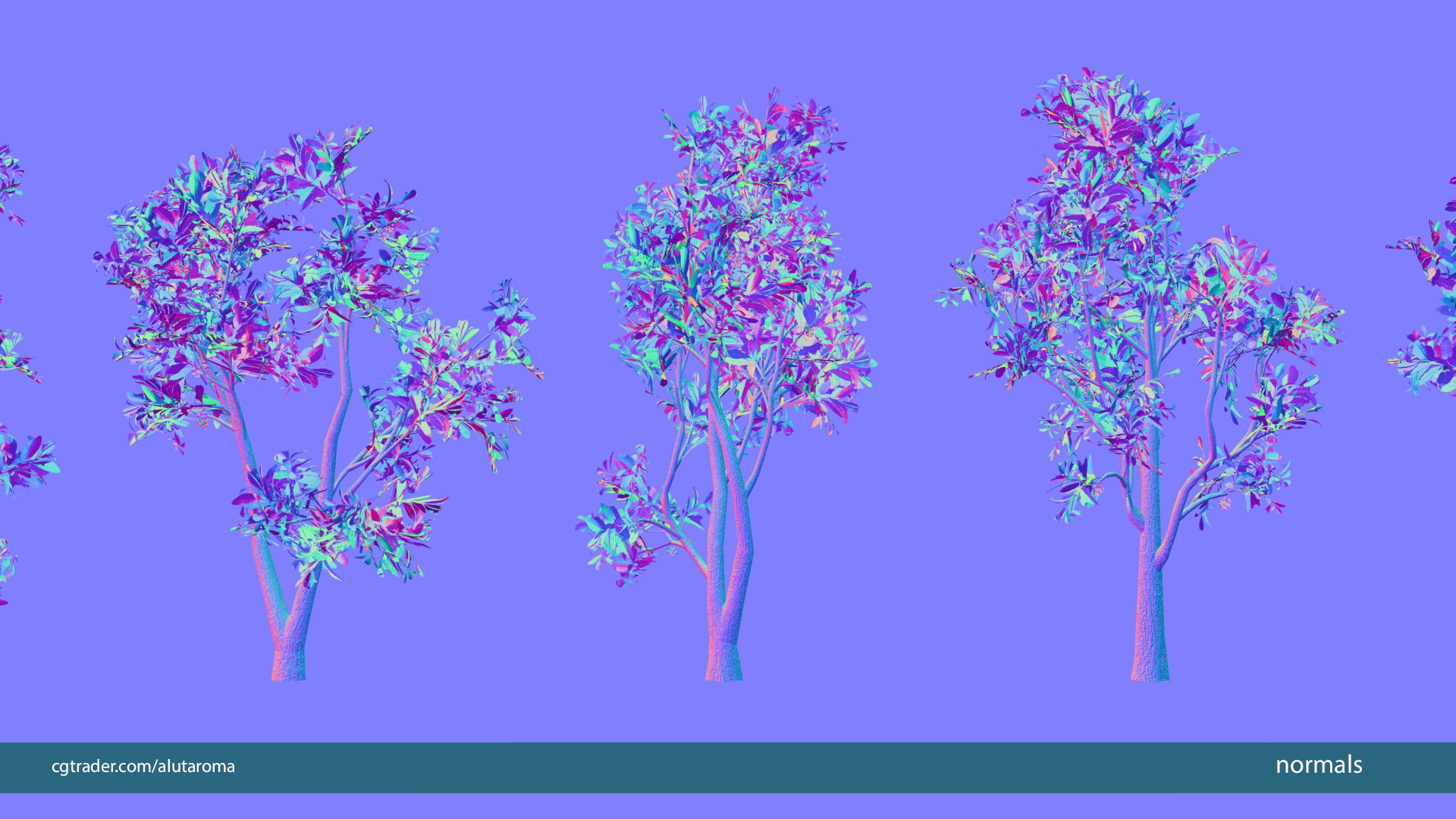 Arbutus tree LOW POLY very detailed texture Low-poly 3D model_36