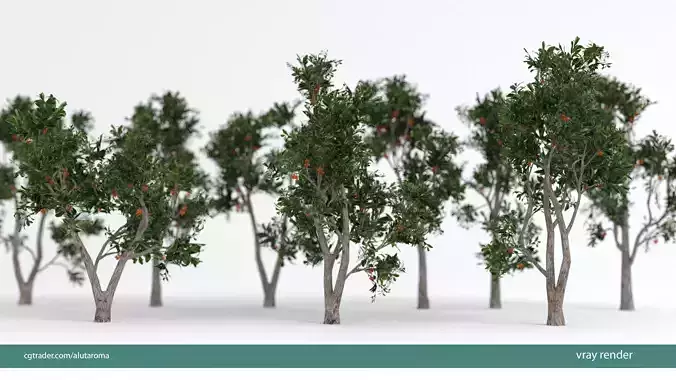 Arbutus tree LOW POLY very detailed texture Low-poly 3D model