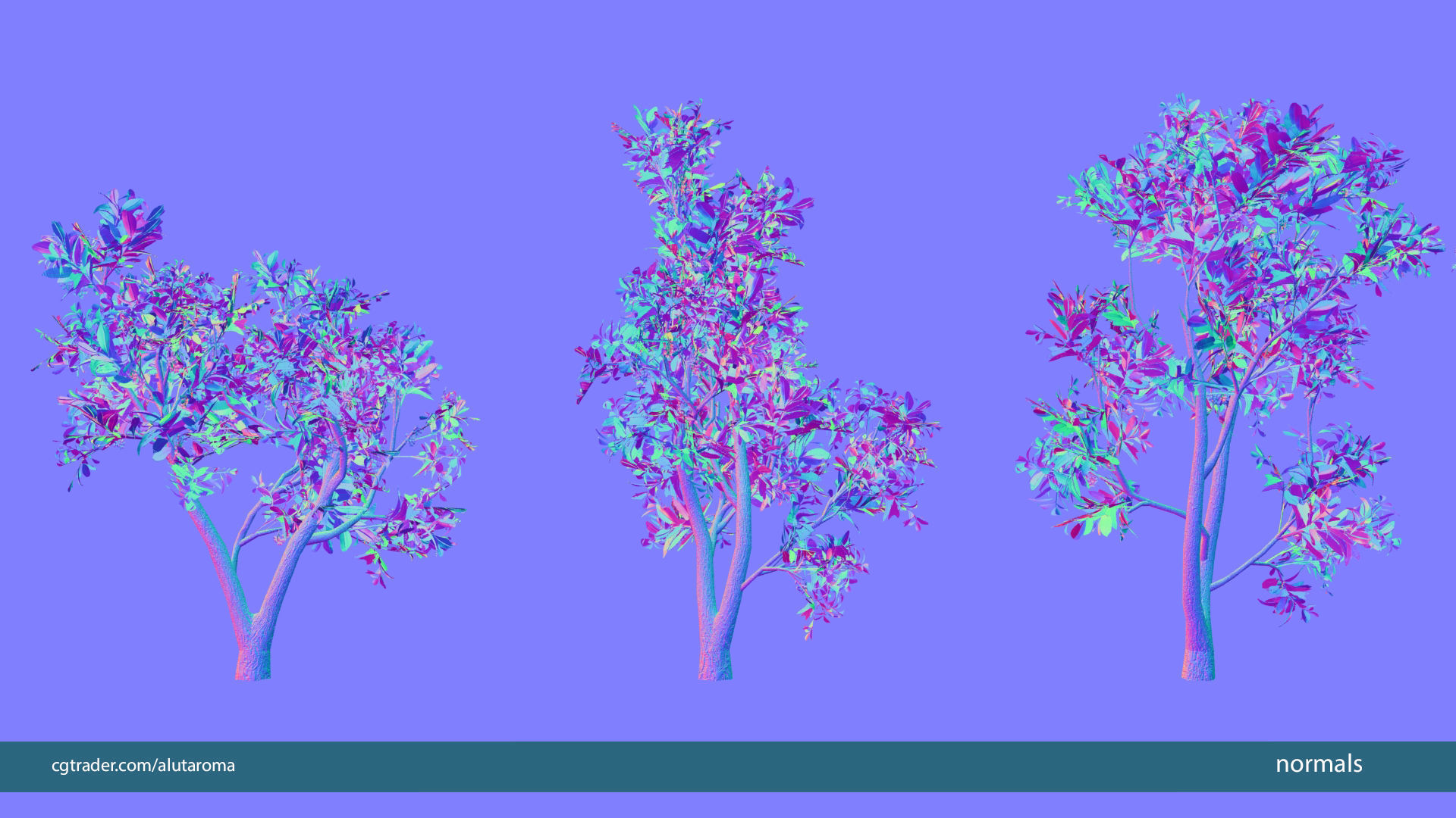 Arbutus tree LOW POLY very detailed texture Low-poly 3D model_5