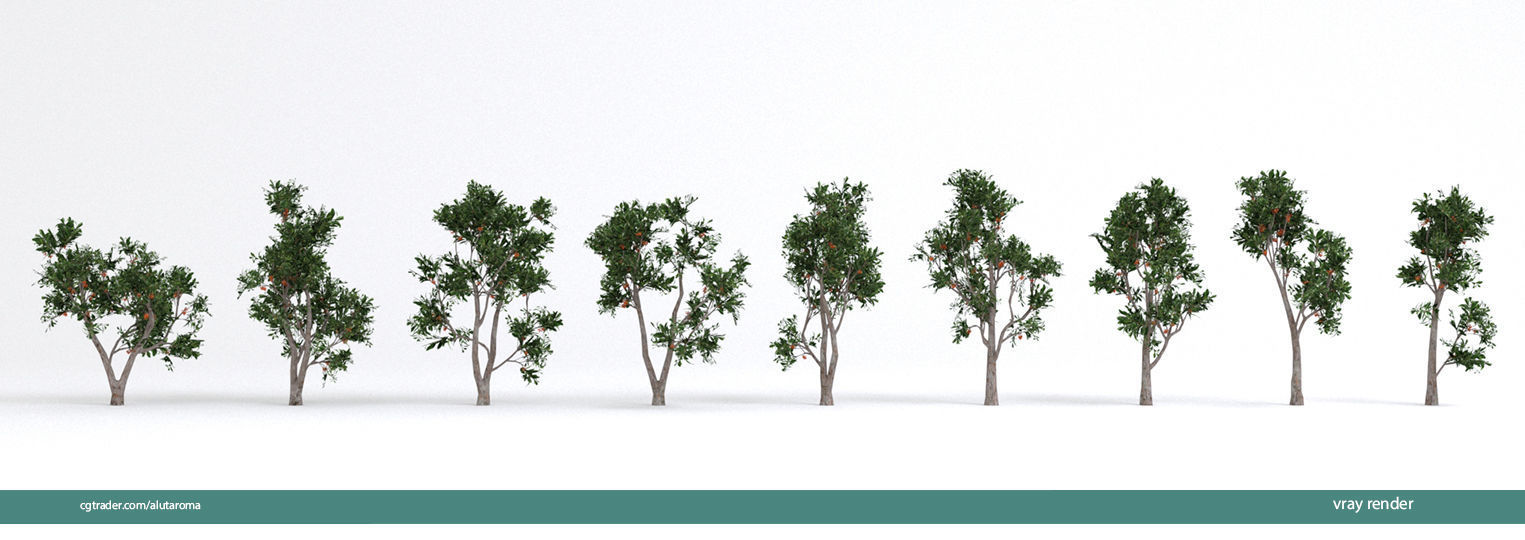 Arbutus tree LOW POLY very detailed texture Low-poly 3D model_2