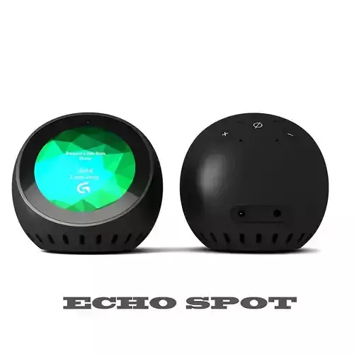 Echo Spot