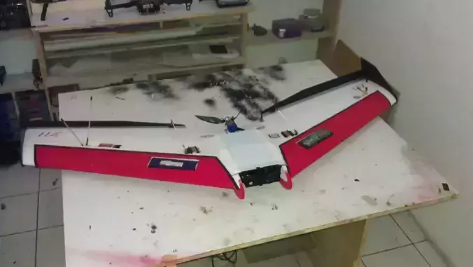 Ritewing Zephyr Z II Free 3D model
