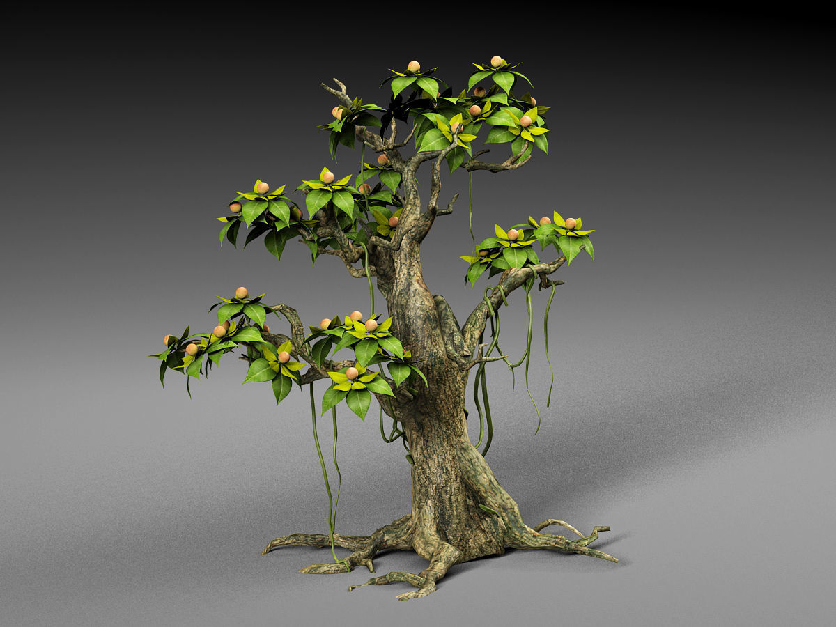 Cartoon Tree 3D model_2