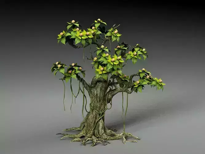 Cartoon Tree 3D model