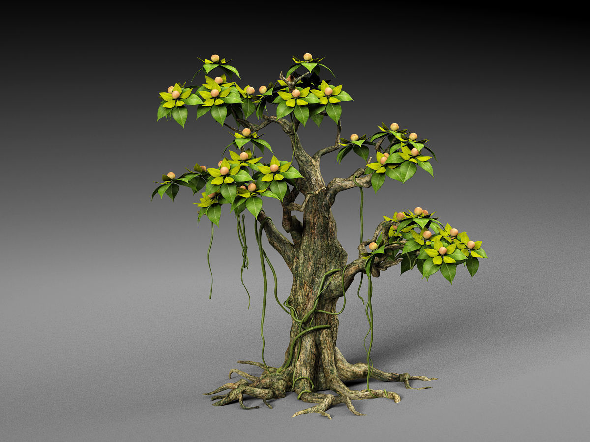 Cartoon Tree 3D model_1