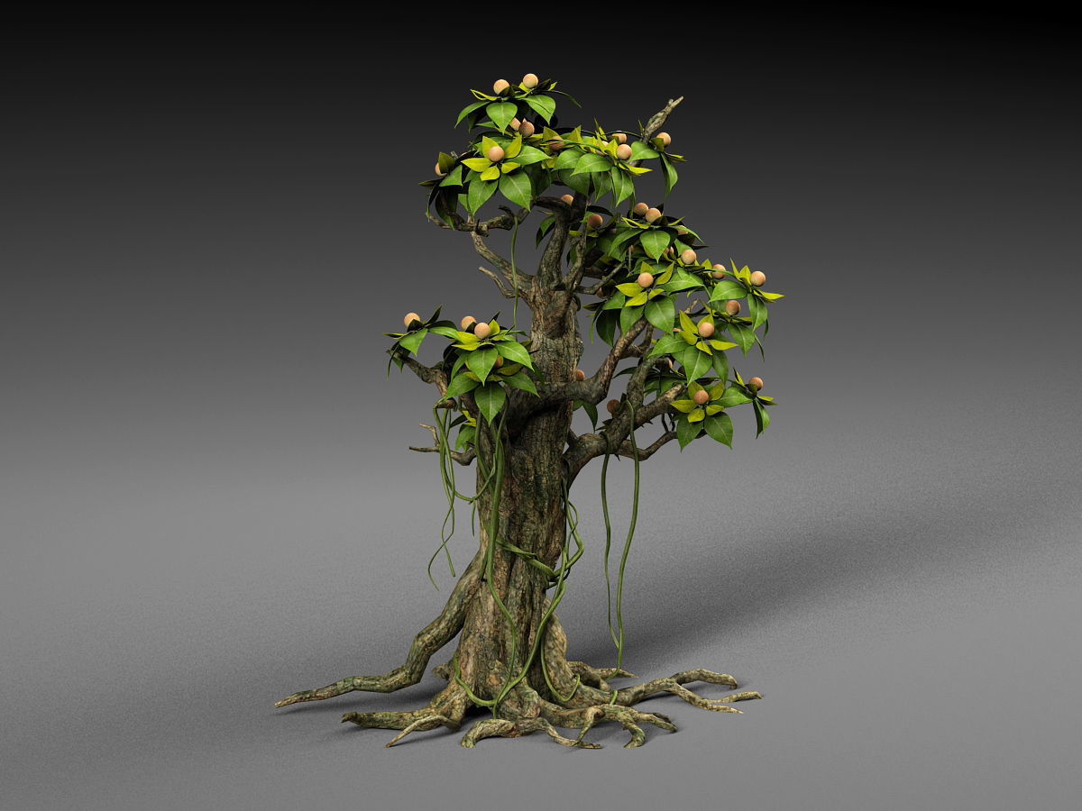 Cartoon Tree 3D model_3