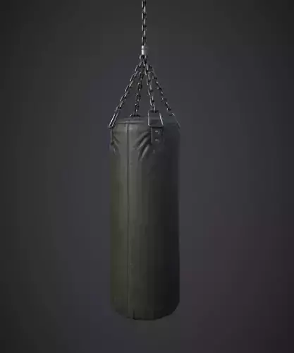 Punching Bag