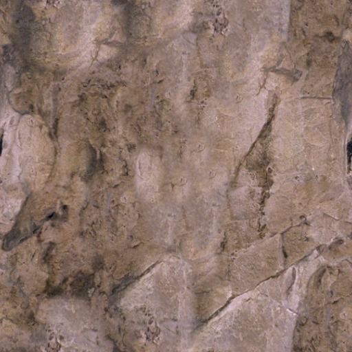 Forest Racing Track Low-poly 3D model_9