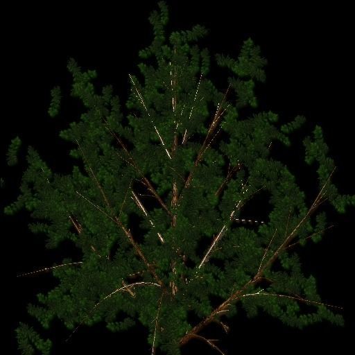 Forest Racing Track Low-poly 3D model_23