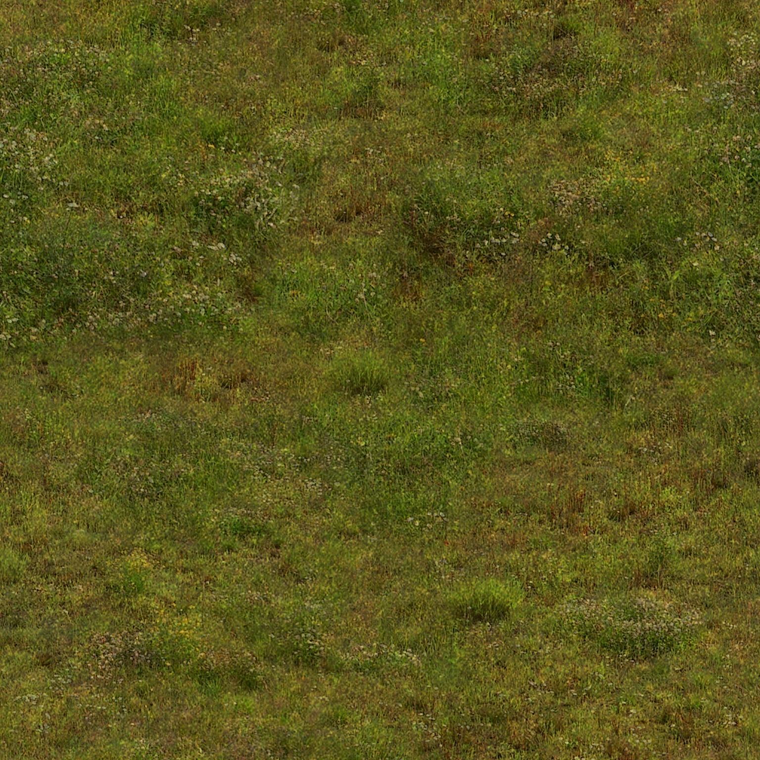 Forest Racing Track Low-poly 3D model_30